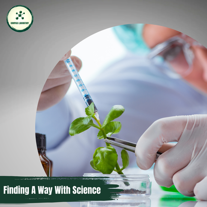 Gymnema Leaf Extract 100 mg/ml – Natural Support for Healthy Blood Sugar Levels - Compass Laboratory